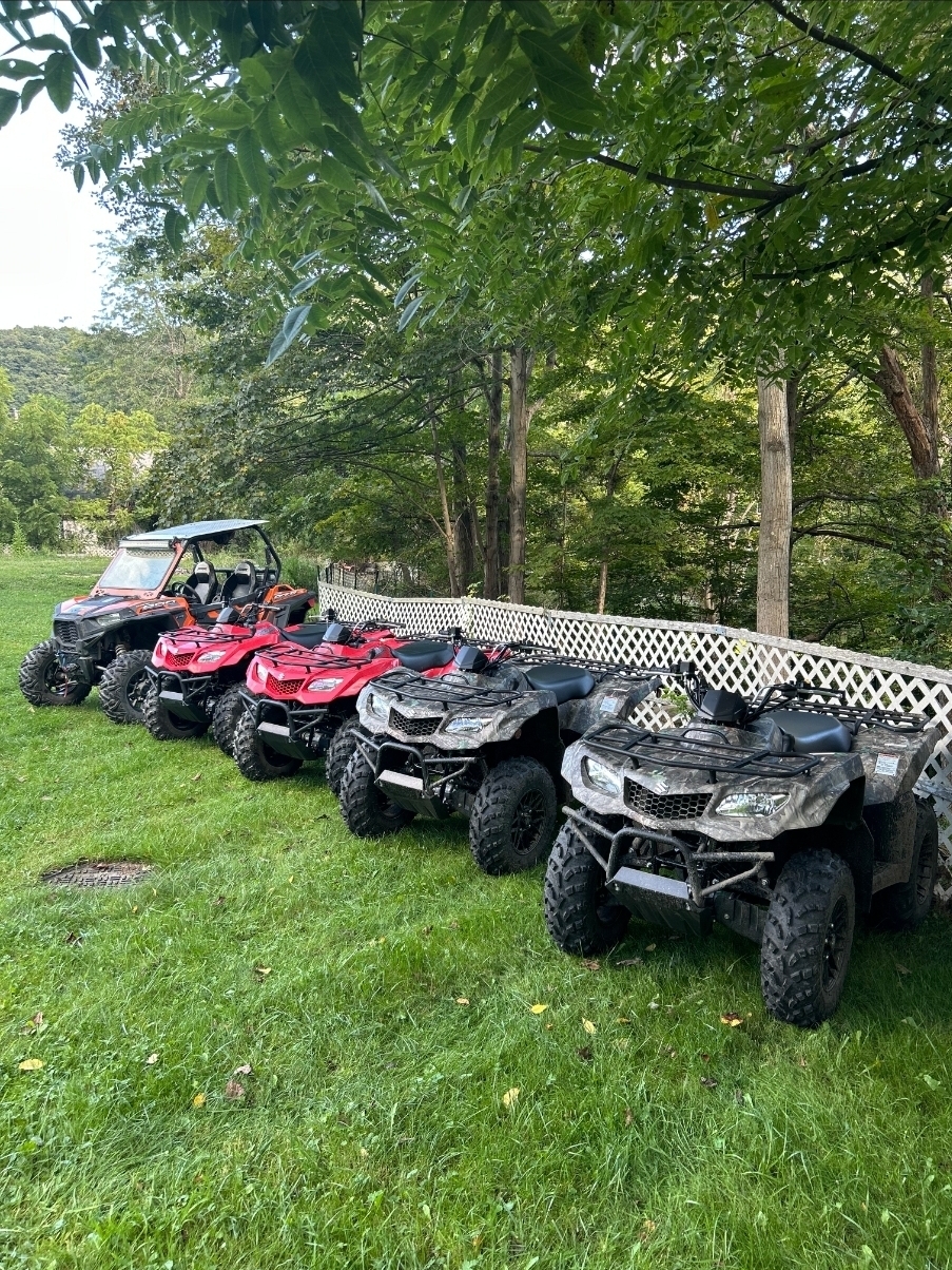 Service image