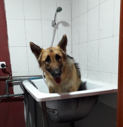 Imagem do fornecedor