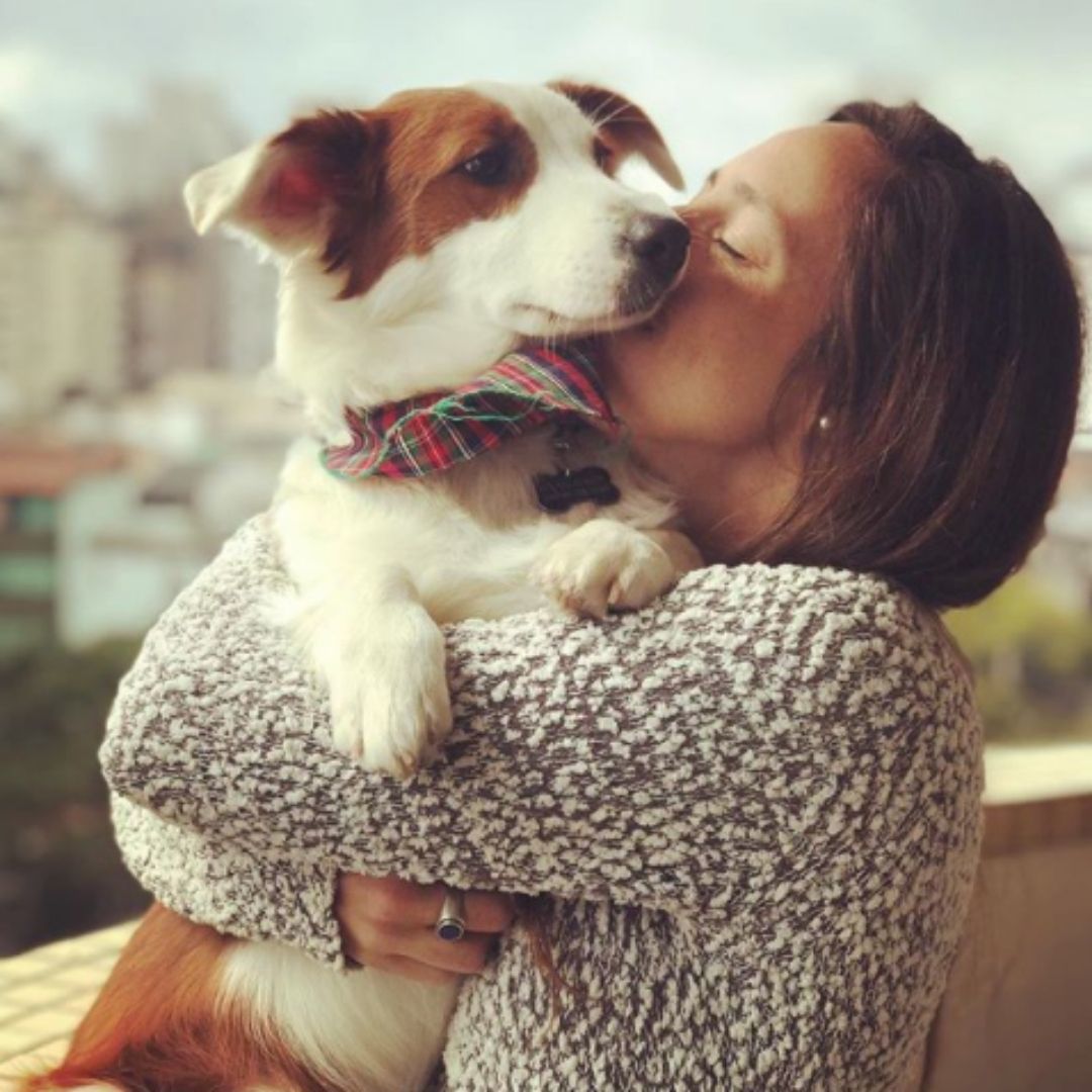 Imagem do fornecedor