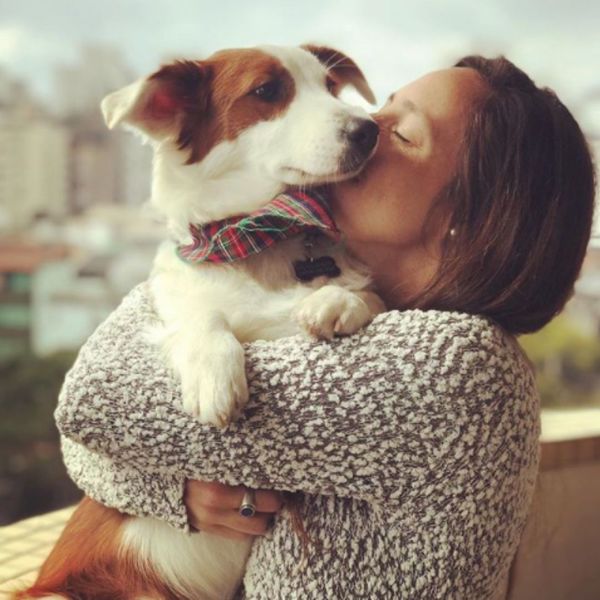 Imagem do fornecedor