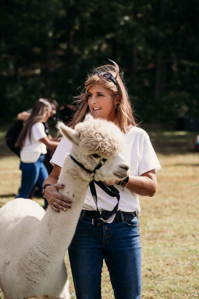 Imagem do fornecedor