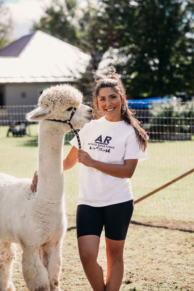 Imagem do fornecedor