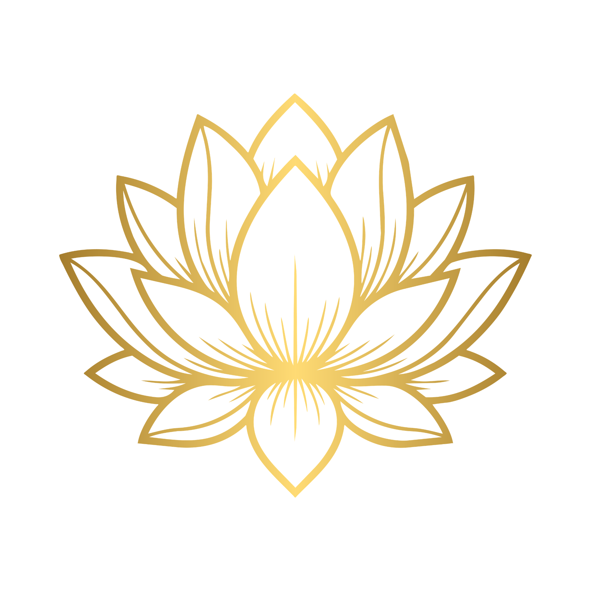 服务项目照片