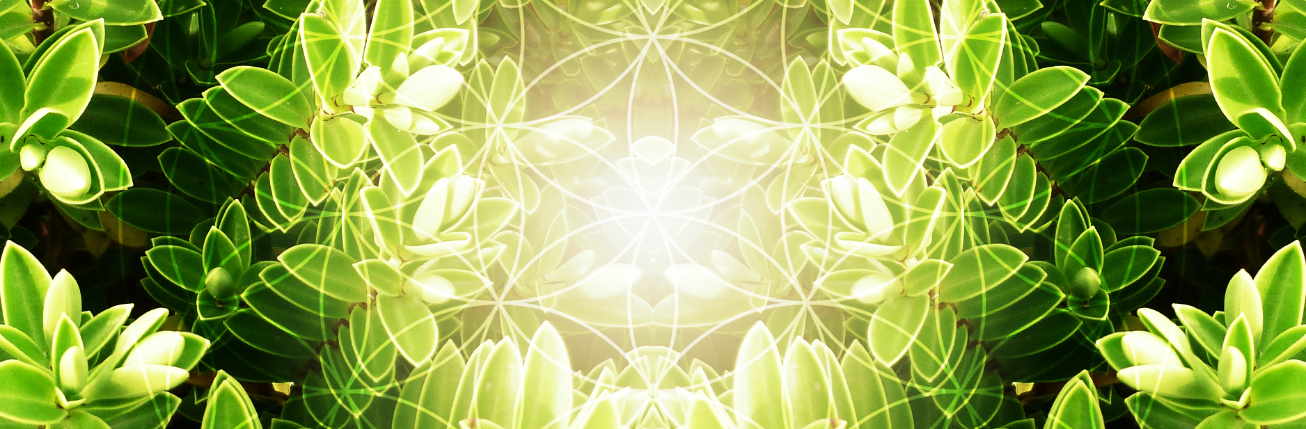 Company cover image