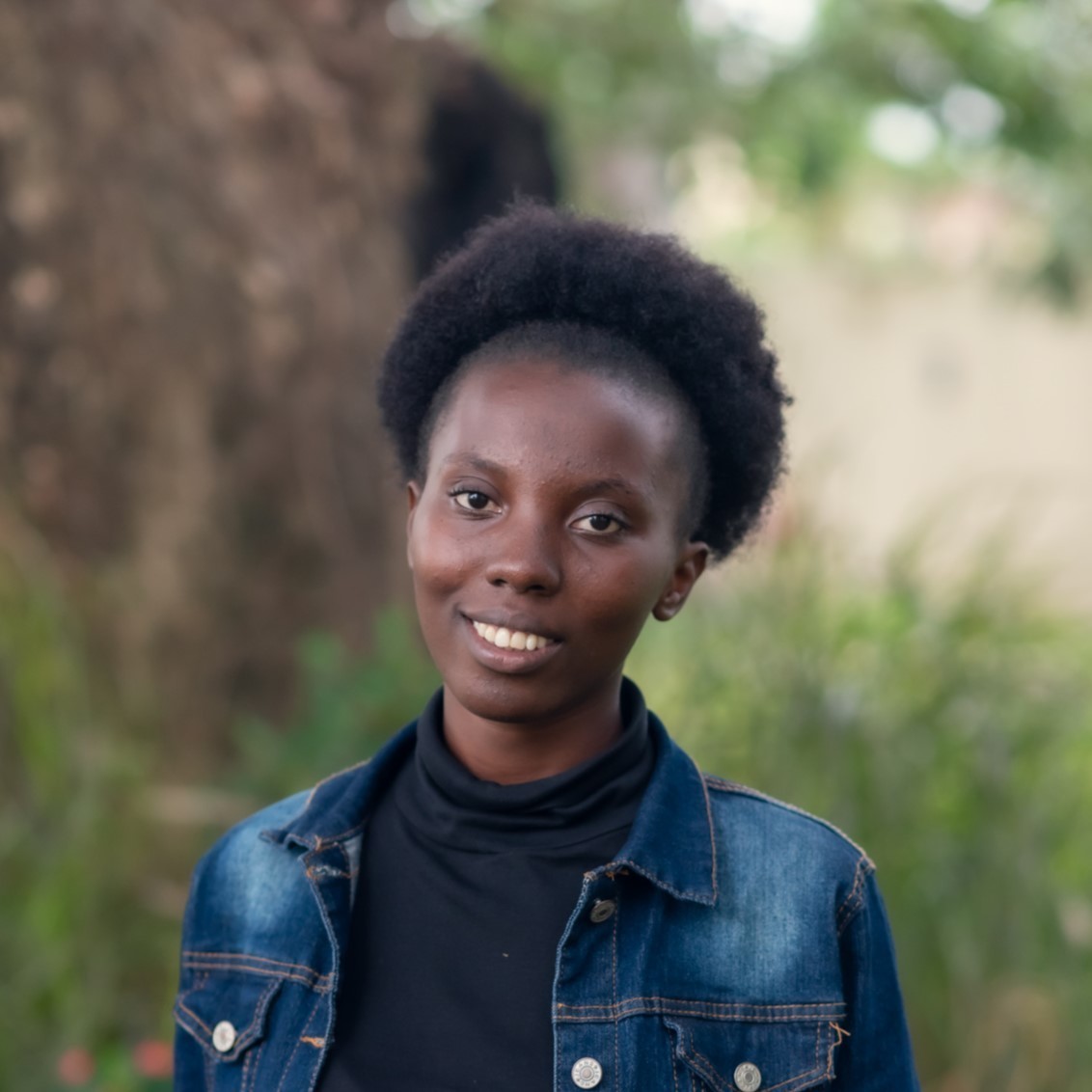 Imagem do fornecedor