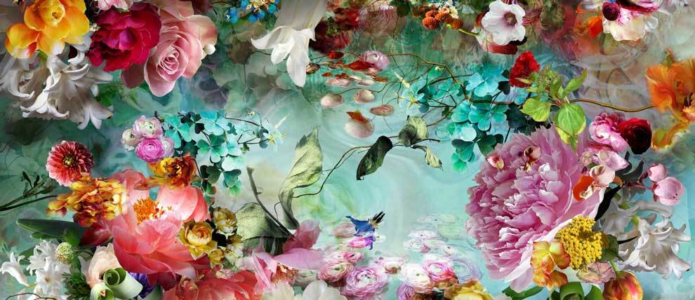 Imagem de apresentação da empresa