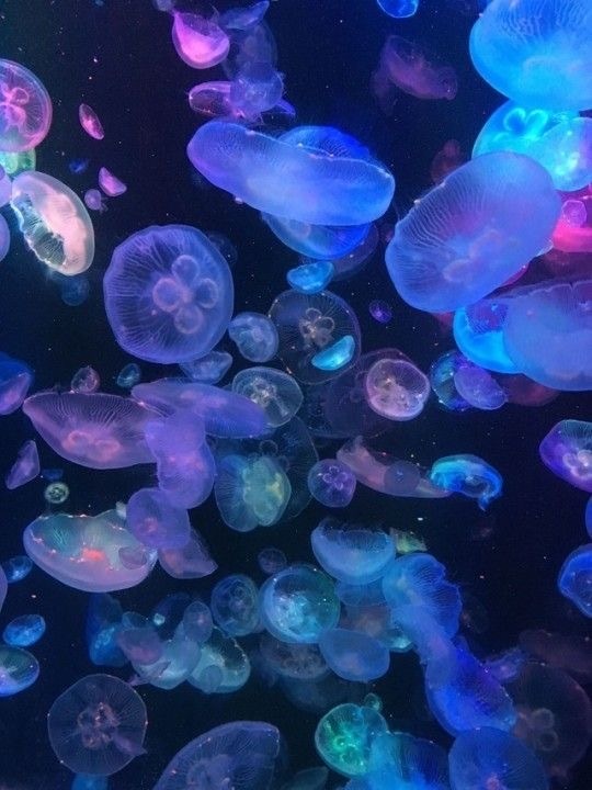 服务项目照片
