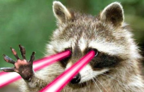 Imagem do fornecedor