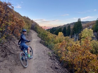 Imagem do fornecedor