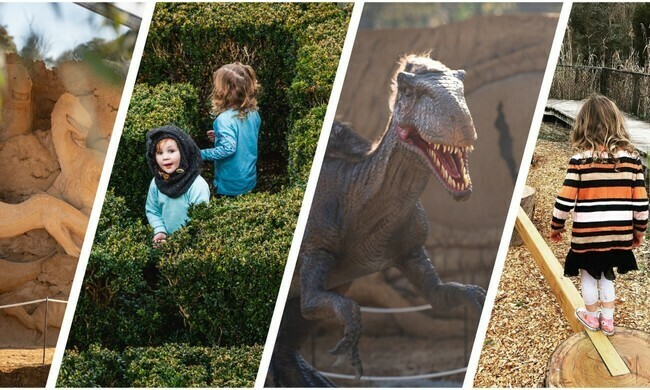 Imagem do fornecedor