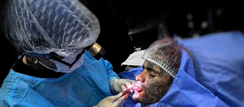 Imagem do fornecedor