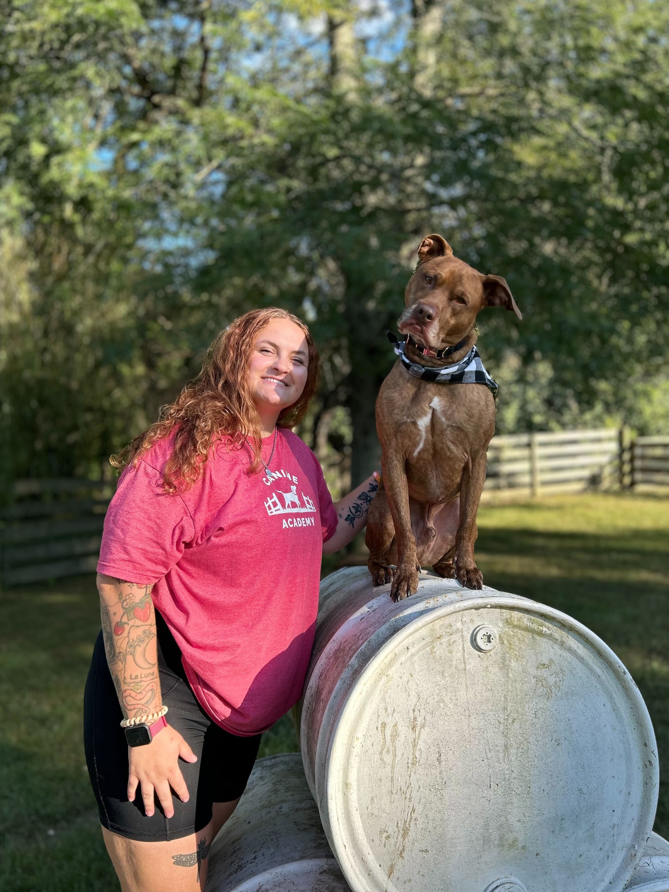 Imagem do fornecedor