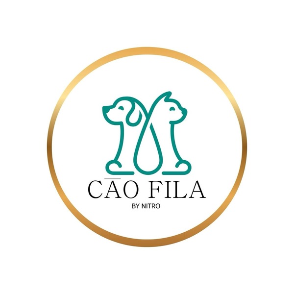 Company image