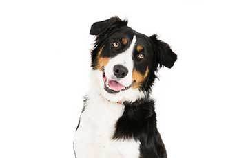 Imagem do fornecedor