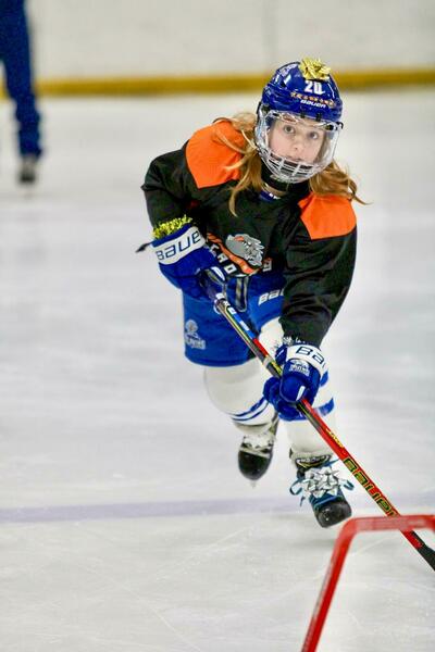 Imagem do fornecedor