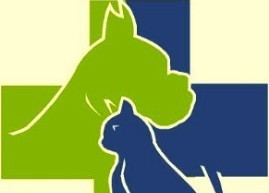 Imagem de apresentação da empresa