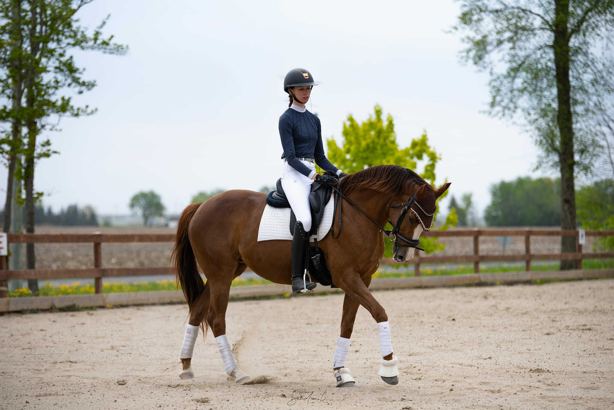 Imagem do fornecedor