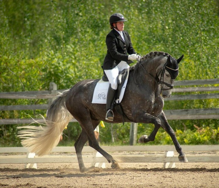 Imagem do fornecedor