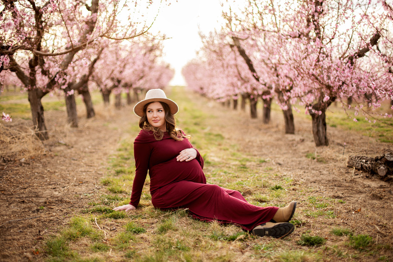 Maternity Photo in the Blossoms: @dana.petit