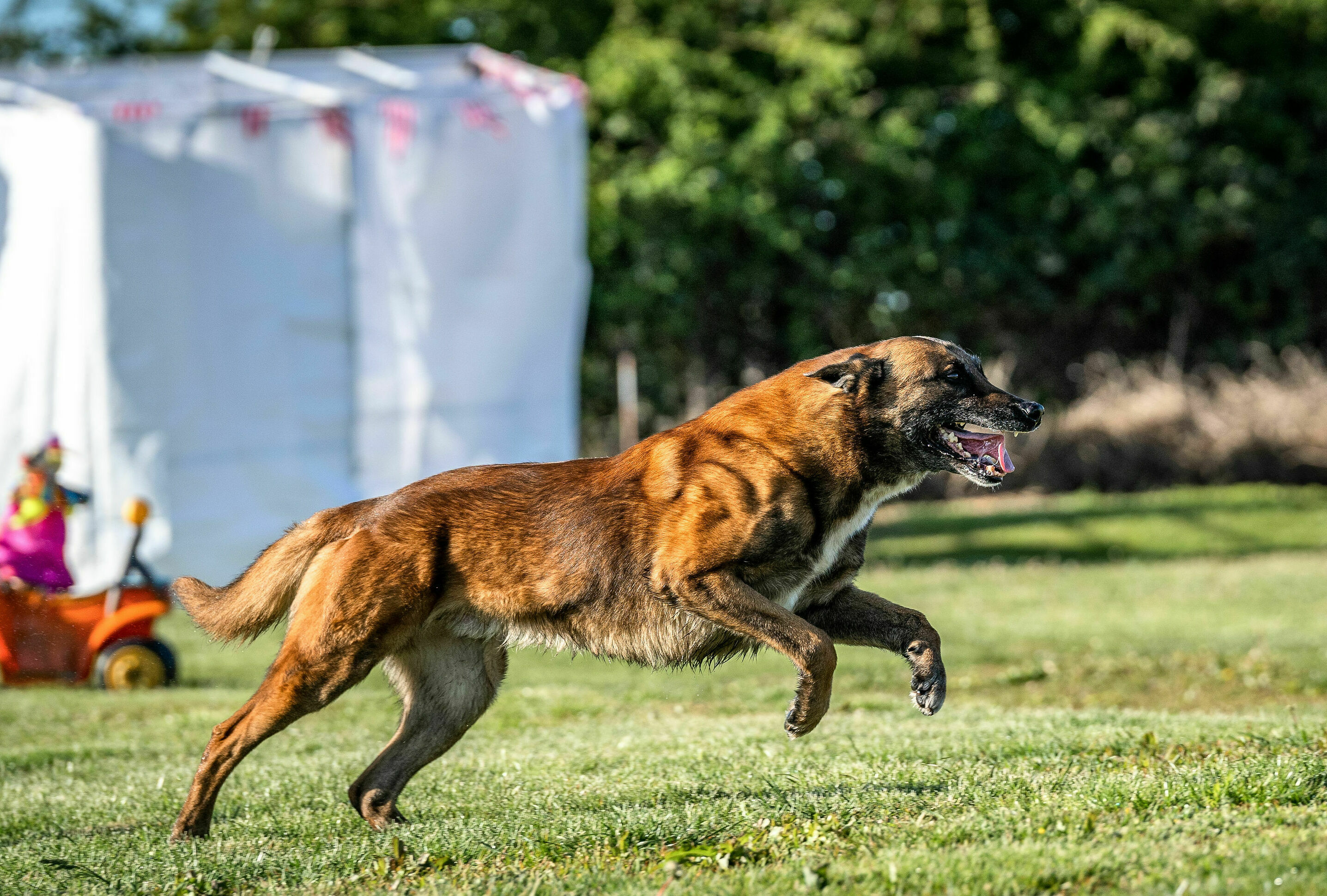 Imagem de apresentação da empresa