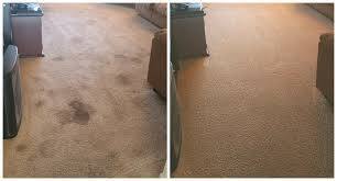 Generally, carpet manufacturers recommend that everyone has their carpet cleaned professionally at least once a year in order to preserve their carpets, maintain your carpet warranty, and keep their home healthy. Because your carpet is your home's largest air filter, cleaning once a year refreshes your space and boosts your air quality!