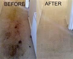 To choose a carpet cleaning company, you should research their reputation, compare their cleaning methods and processes, and verify they are certified, licensed, and insured. It is also essential to get a clear, detailed quote to avoid hidden fees