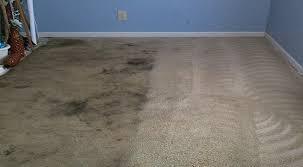 Highlights of R&R Carpet Cleaning in Houston include its reputation for reliable service, effectiveness at removing tough stains and odors, and use of eco-friendly products. The company also offers online booking and has received consistent praise for its professionalism and customer service. 