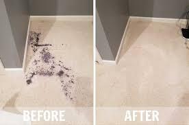 If you have pets, having your carpets cleaned in houston every six months, coupled with the Pet Spot Treatment, is the best way to avoid discoloration, odors, and other damage to your carpet. Regular cleaning helps to remove pet dander, urine, and other residues that can lead to stains, unpleasant smells, and carpet deterioration. Pet Spot Treatment is specifically designed to tackle pet-related messes, ensuring a fresh and healthy environment for both you and your furry friends.