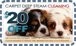 Here are several carpet cleaning companies in the Houston area, including options with current coupons and eco-friendly services. Some of the promotions listed may have an expiration date and it is recommended to confirm the offer when scheduling your service