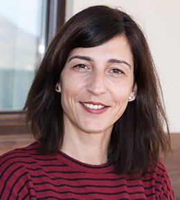 Imagem do fornecedor