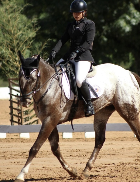 Imagem do fornecedor