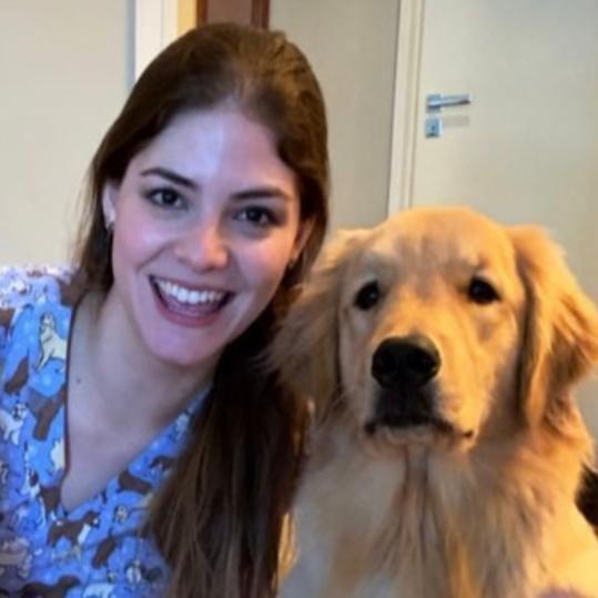 Imagem do fornecedor