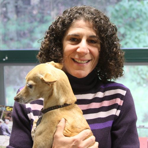 Imagem do fornecedor