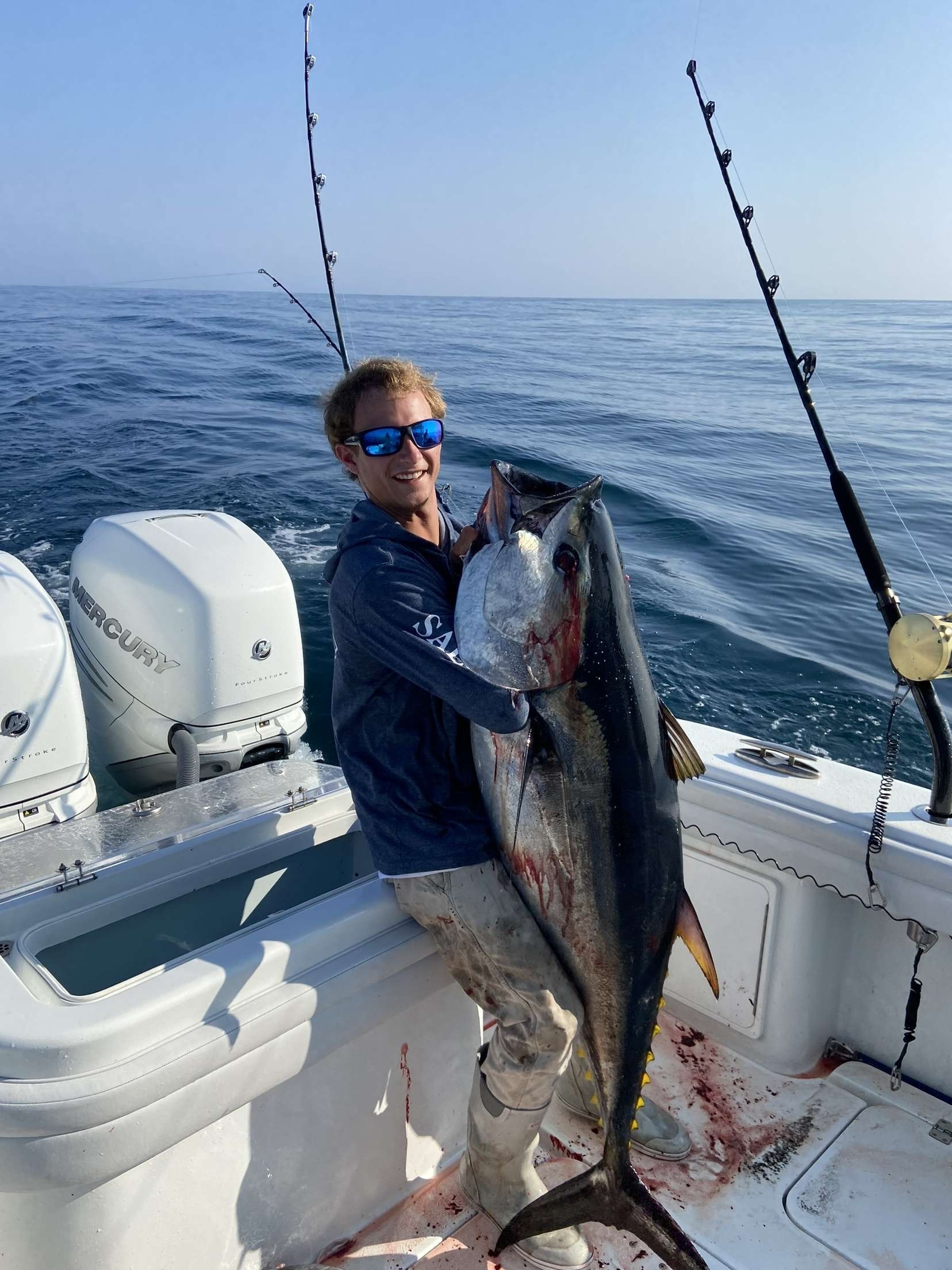 Imagem do fornecedor