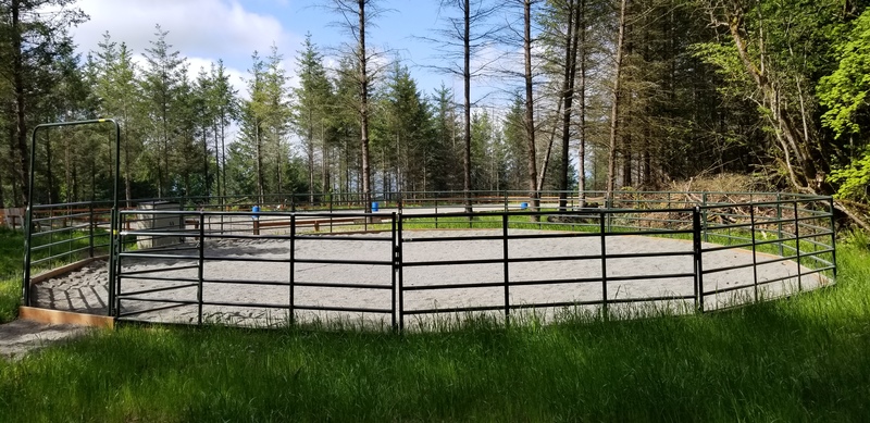 50 foot roundpen.