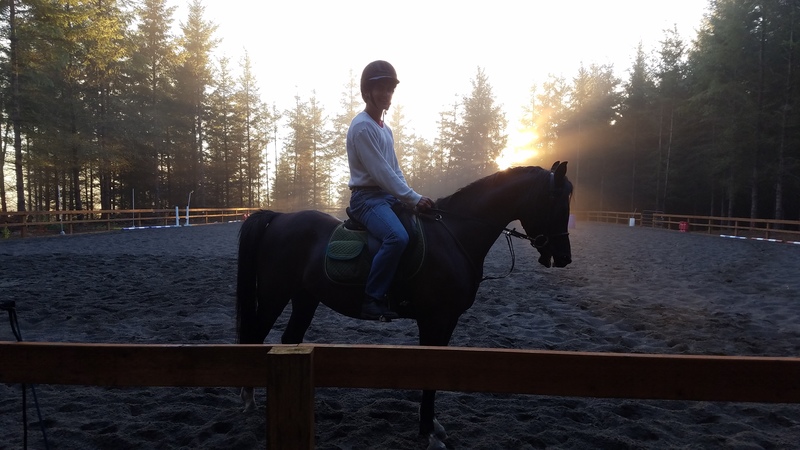 Kasino in the arena on a summer evening.  The sun is setting behind the trees.