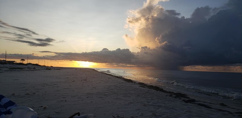 This beautiful picture is taken by people in 'Dog Island Wisdom' Facebook Group.
Photo Credit : Billy Arnold