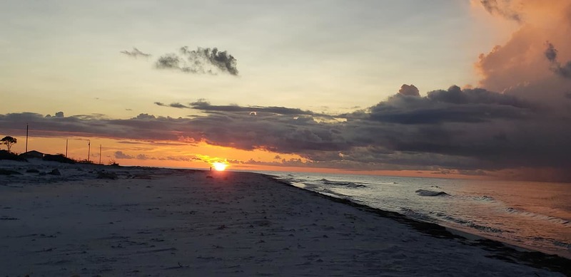 This beautiful picture is taken by people in 'Dog Island Wisdom' Facebook Group.
Photo Credit : Billy Arnold