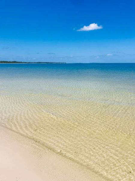 This beautiful picture is taken by people in 'Dog Island Wisdom' Facebook Group.
Photo Credit : Darlene Pearce