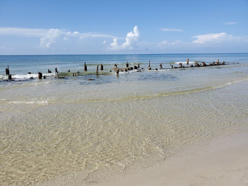 This beautiful picture is taken by people in 'Dog Island Wisdom' Facebook Group.
Photo Credit : DM Long