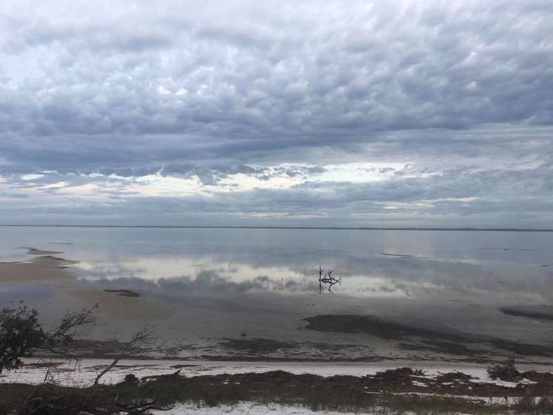 This beautiful picture is taken by people in 'Dog Island Wisdom' Facebook Group.
Photo Credit : Scott Gronholm