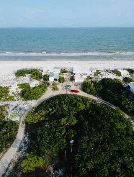 This beautiful picture is taken by people in 'Dog Island Wisdom' Facebook Group.
Photo Credit : Joseph William Jackson Jr