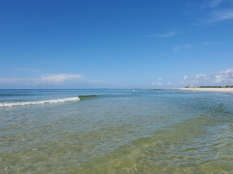 This beautiful picture is taken by people in 'Dog Island Wisdom' Facebook Group.
Photo Credit : DM Long