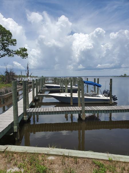 This beautiful picture is taken by people in 'Dog Island Wisdom' Facebook Group.
Photo Credit : DM Long