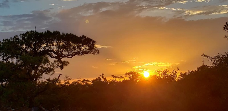 This beautiful picture is taken by people in 'Dog Island Wisdom' Facebook Group.
Photo Credit : Vickie RollinsBuckley