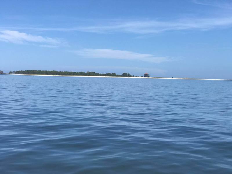 This beautiful picture is taken by people in 'Dog Island Wisdom' Facebook Group.
Photo Credit : David Higgins