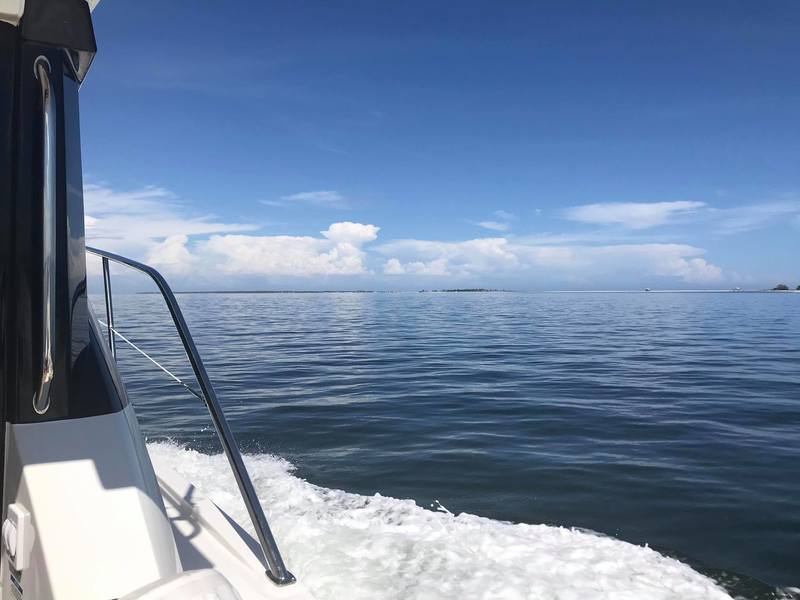 This beautiful picture is taken by people in 'Dog Island Wisdom' Facebook Group.
Photo Credit : David Higgins