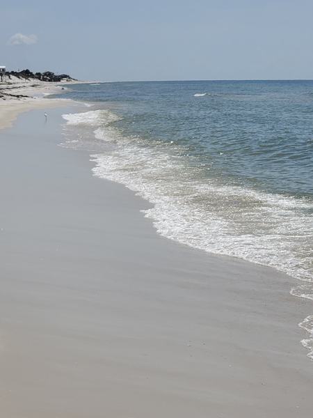 This beautiful picture is taken by people in 'Dog Island Wisdom' Facebook Group.
Photo Credit : DM Long