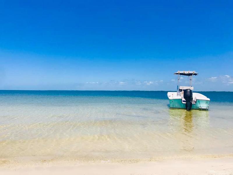 This beautiful picture is taken by people in 'Dog Island Wisdom' Facebook Group.
Photo Credit : Darlene Pearce