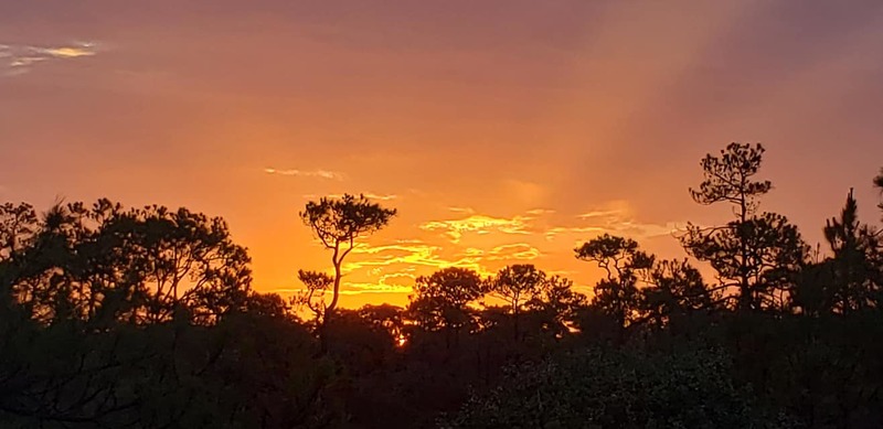 This beautiful picture is taken by people in 'Dog Island Wisdom' Facebook Group.
Photo Credit : Vickie RollinsBuckley